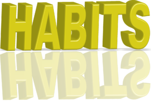 Habits 3-D